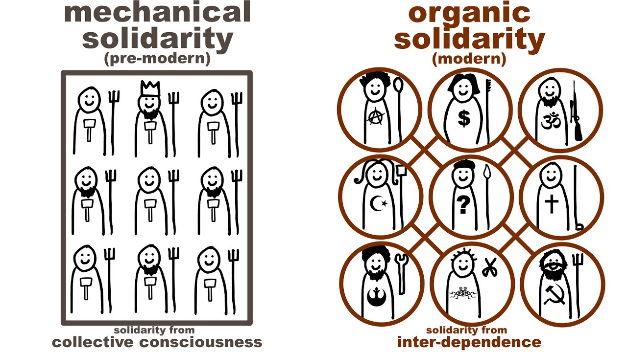 Interdependent Consciousness vs Collective Consciousness 